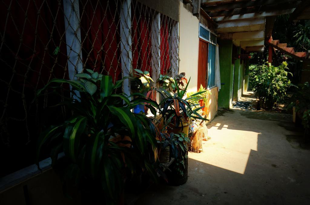 Villa Hermosa De Tambopata Casa Hospedaje & Hostel Puerto Maldonado Exterior foto