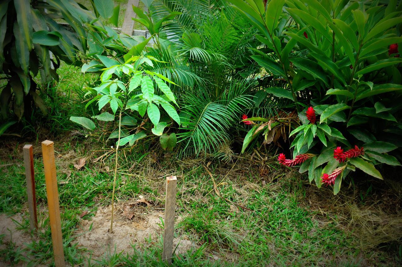 Villa Hermosa De Tambopata Casa Hospedaje & Hostel Puerto Maldonado Exterior foto